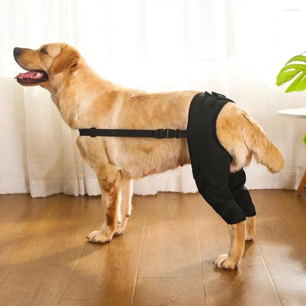 Ropa para perros Durable Resistente al desgaste Equipo protector para mascotas Tirantes de pierna ajustables Apoyo suave para el envejecimiento de lesiones de perros