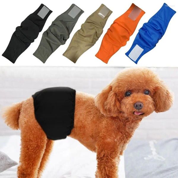 Ropa para perros Diseño elástico Pantalones sanitarios absorbentes masculinos Pañal Pet Fisiológico Anti-acoso