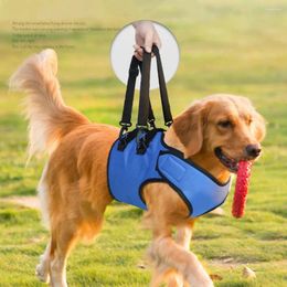 Vêtements pour chiens Personnes âgées handicapées en peluche Handicap auxiliaire Pet Lift Support Harnais Marche Ceinture de levage