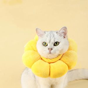 Vêtements pour chiens Elizabeth Collar Pet Neck Decor Anti-Lick Head Anti-Scratch PP Cotton Cat Récupération
