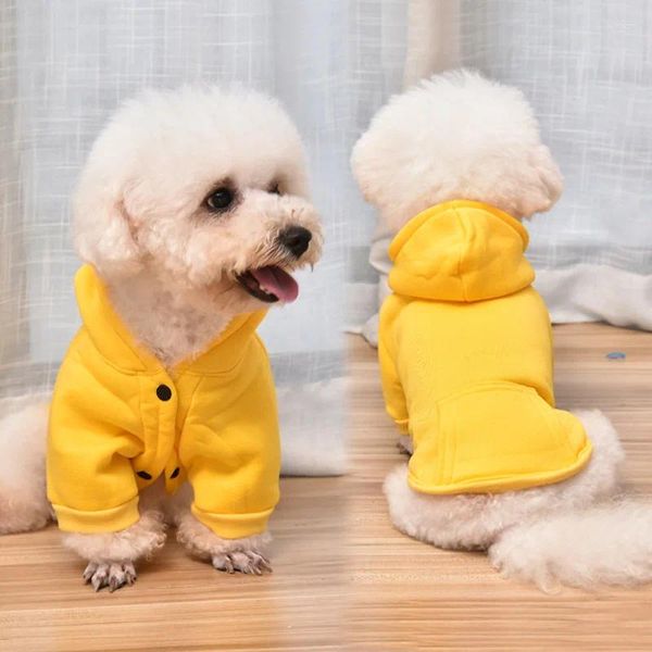 Fábrica de ropa para perros, venta al por mayor, OEM para mascotas, suéter de béisbol de otoño personalizado, ropa para cachorros, sudaderas con capucha para gatos pequeños, moda sencilla