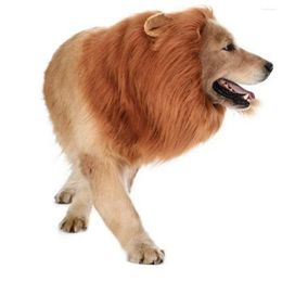 Vêtements de chien fausse crinière de lion pour chiens