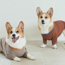 Mode des vêtements pour chiens et pull pratique pour les races moyennes