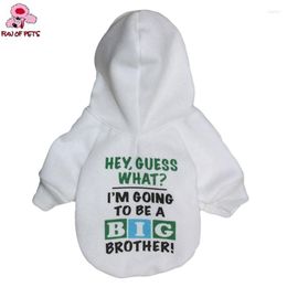 Hondenkleding Mode Herfst Winter Cool "BIG BROTHER!" Patroon T-shirt Pet Kleding Met Hoodies Voor Honden Puppy Kleding