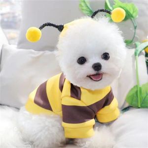 Vêtements pour chiens Mode Design classique Automne et hiver Chat Stripes Mignon Little Bee Sweat à capuche Deux pieds Teddy Vêtements pour animaux de compagnie