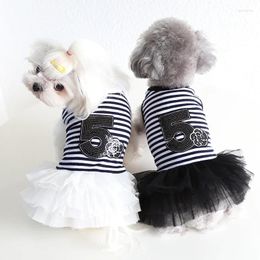 Vêtements pour chiens Vêtements de mode pour petits chiens Printemps Été 2024 Numéro 5 Rayé Princesse Style Jupe Chiot Pet Chat Robe