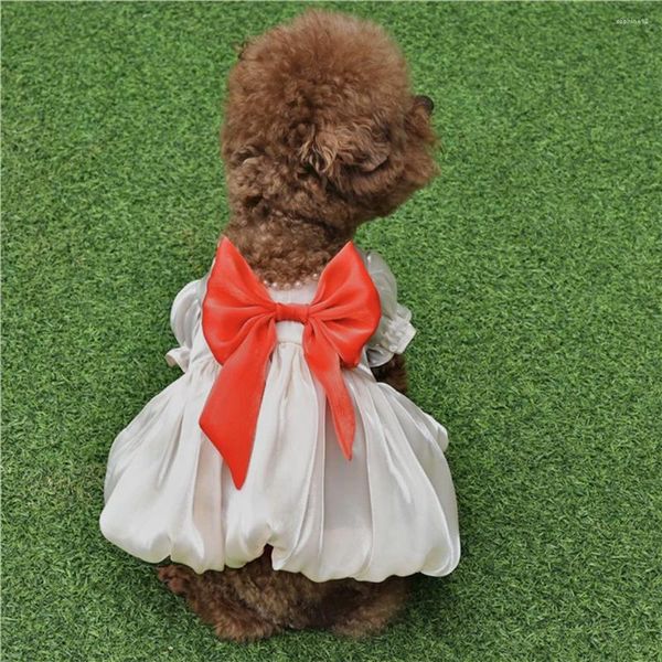 Vêtements de chien Robes de mode Vêtements pour animaux de compagnie Mesh Chiot Princesse Robe Tulle Jupe avec nœud papillon Costume de fête d'anniversaire pour petits chiens