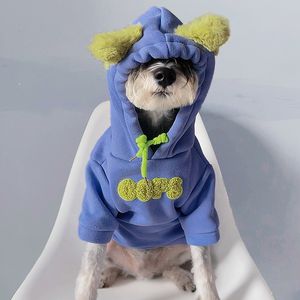 Hondenkleding mode hoodie kleine hond trui kattenkleding bewaar warm herfst winter pullover Yorkshire jas chihuahua bulldog puppy sweatshirt 230815