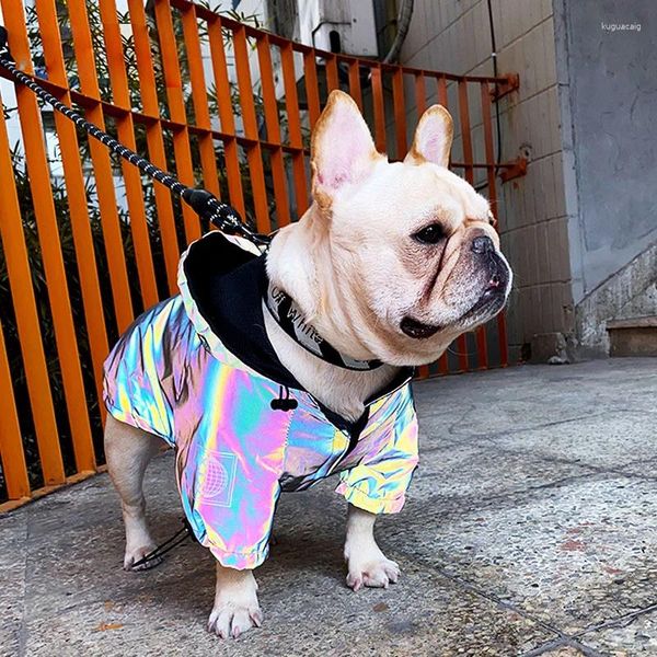 Vêtements pour chiens Mode Vêtements pour animaux de compagnie Cool Manteau réfléchissant coloré Veste imperméable Chat pour petits chiens de grande taille