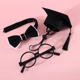 Chien vêtements mode animal de compagnie Graduation costume feutre chat chapeau Adorable collier lunettes ensemble tenues décoratives