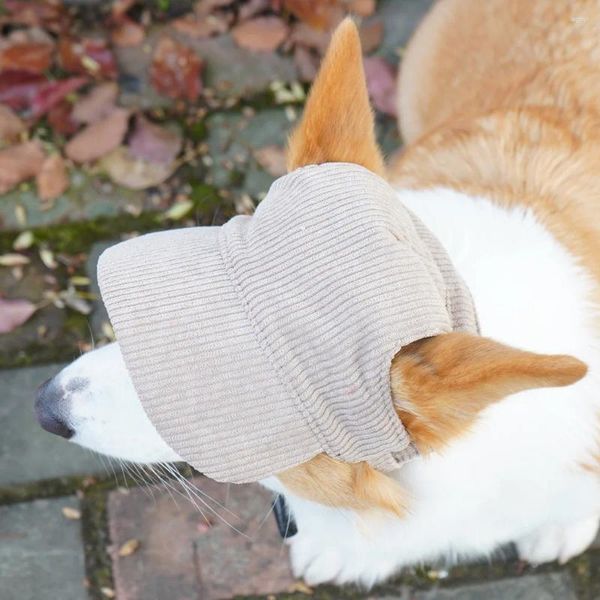 Vêtements pour chiens Mode Chapeau pour animaux de compagnie Casquette de baseball décontractée Chapeaux de soleil réglables pour chat Petit Moyen Grand Chien Accessoire d'extérieur mignon