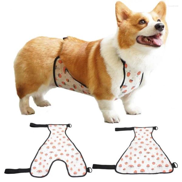 Ropa para perros Moda Mascotas Ropa Suave Accesorio al aire libre Fácil de limpiar Pet Bib Belly Disfraz