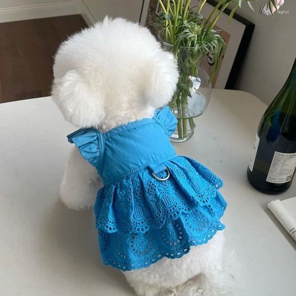 Vêtements pour chiens Mode Chiot Dentelle Jupe Chiens Vêtements Robe Pour Petits Vêtements Chat Tenues Pour Animaux De Compagnie Mignon Été Yorkies Gâteau Vendu