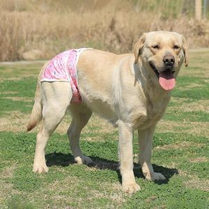 Ropa para perros, pantalones menstruales a la moda, cinta de sujeción, poliéster antiacoso, estampado de ballena con dibujos animados, ropa sanitaria para pañales para mascotas