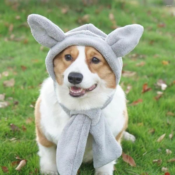 Vêtements pour chiens Chapeau pour animaux de compagnie à la mode Chat confortable hiver avec d'adorables oreilles tridimensionnelles couvre-chef élégant pour ultime