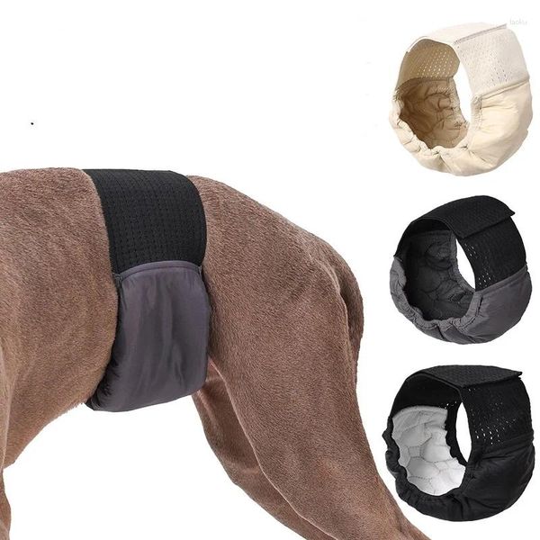 Pantalla de ropa para perros pantalones fisiológicos femenino contra el acoso masculino ropa interior lavable