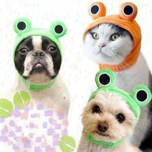 Bande de fixation pour vêtements de chien, chapeau pour animaux de compagnie, couvre-chef en peluche grenouille, accessoire de mode pour fêtes, Cosplay, nouveauté, dessin animé, vacances