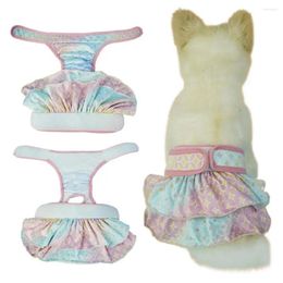 Pañeros de ropa para perros Día femeninos lavables altamente absorción Anti-acosamiento Pet Pantería Menstrual Suministros Suministros de bragas sanitarias