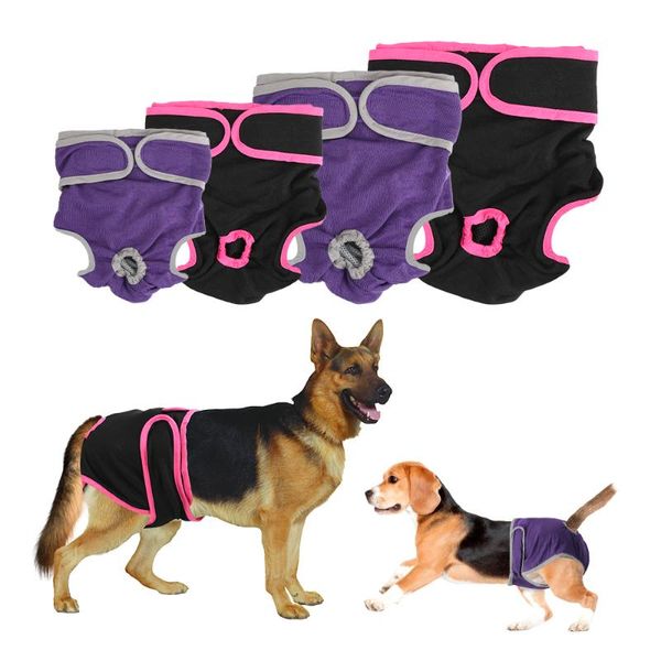 Vêtements pour chiens Shorts féminins Produits pour animaux de compagnie Pantalons physiologiques Fournitures pour petits chiens de taille Meidium Sous-vêtements pour chiots