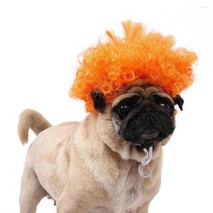 Vêtements pour chiens, fabrication soignée, perruque pour animaux de compagnie, cheveux bouclés, chat pour Halloween, fête de noël, Cosplay, coiffure amusante avec chats, animaux de compagnie