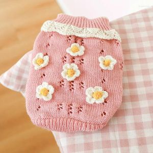 Vêtements pour chiens Pull à fleurs Vêtements pour animaux de compagnie Chat chaud Ours en peluche Petit deux pieds Robe d'automne Hiver