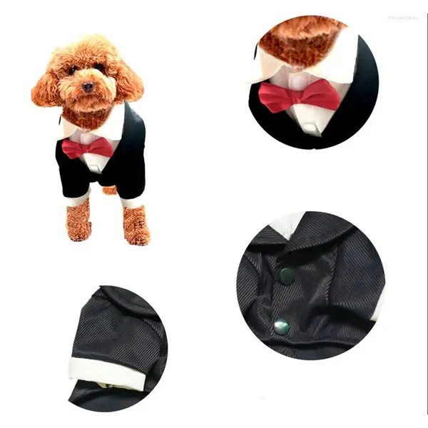 Vêtements pour chiens fodog pour animaux de compagnie de chat coat de chat chiot gentleman get western chemise with wedding liping veste propice de produit