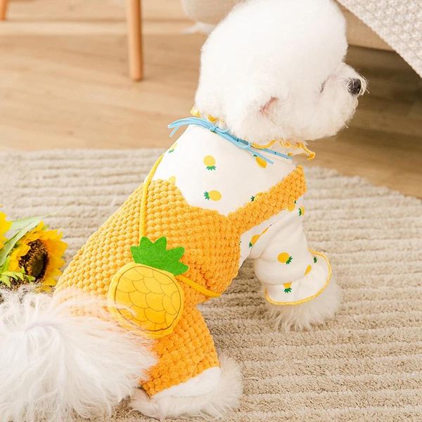 Vêtements pour chiens fruit ananas costume de chat pour les petits chiens hiver