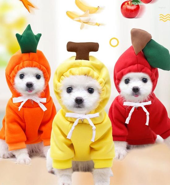 Vêtements pour chiens Fruits Manteau chaud Pull pour chat Costume pour temps froid pour chiot Petit Moyen Grand Vêtements Sweat à capuche