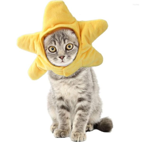 Vêtements de chien drôle animal animal de compagnie chapeaux d'étoiles de mer réglable chaton fête chaud couvre-chef cosplay costume po prop fournitures accessoires de chat