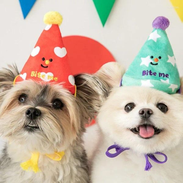 Ropa para perros sombrero de cumpleaños divertido juguetes gato interacción resistencia mordida de chirrido dientes limpios cavidad oral tren accesorios para mascotas