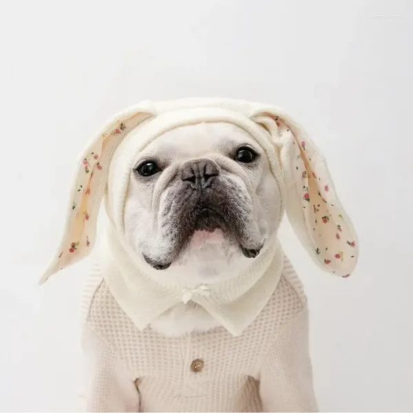 Vêtements pour chiens Chapeau de chat drôle Couvre-chef de Pâques Couverture de tête d'animal de compagnie Crossdressing Chapeaux Oreilles