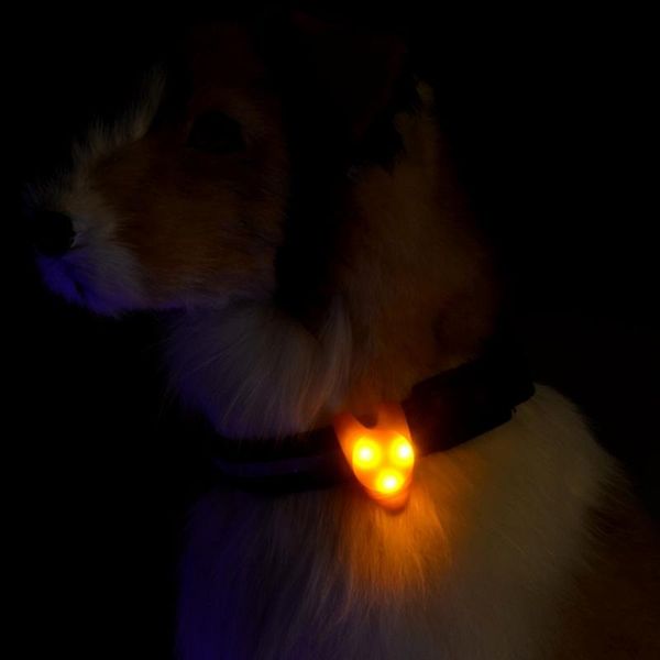 Ropa para perros Gatos divertidos Perros Collar Seguro para mascotas Luz para caminar de noche LED Colgante Luces para exteriores Accesorios