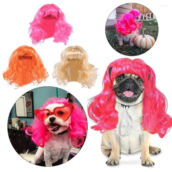 Vêtements pour chiens drôle halloween de Noël