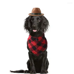 Vêtements de chien drôle d'été chapeau de compagnie de compagnie rétro chapeaux de cowboy capuchons extérieurs pour chiens chats couches réglables