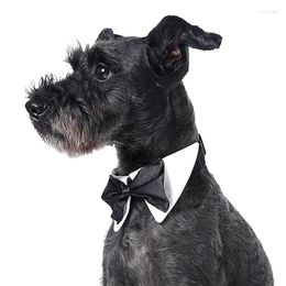 Vêtements pour chiens Gentleman Style Black Bow Tie pour animaux de compagnie Chiens Accessoires de mariage Toilettage Bowtie Pet Cravate Collier réglable Party