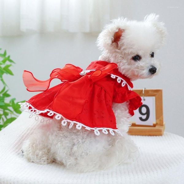 Vêtements pour chiens Vêtements pour filles Costume Robes de fête d'anniversaire Robe de mariée pour chiot Costumes de vacances en dentelle