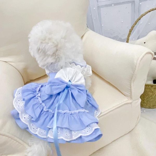 Vêtements de chien Vêtements d'été Chat Chihuahua XXS XS Petite robe avec chapeau Princesse Skir Yorkshire Poméranie Caniche Vêtements pour animaux de compagnie