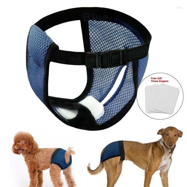 Ropa para perros Chica Pañales para mascotas Pantalones para cachorros Underwe Pañal fisiológico Perros Bragas sanitarias Pantalones cortos Accesorios 2024