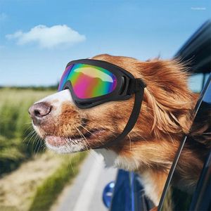 Verpel de vêtements pour chiens verres de lunettes de soleil UV à neige étanche à étanches