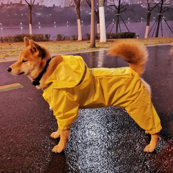 Vêtements pour chiens Golden Retriever imperméable à capuche Samoyed moyen et grand paquet complet à quatre pattes gros vêtements pour animaux de compagnie