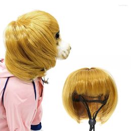 Appareils pour chiens Golden Hair Pet Pet Pet pour petits chiens moyens Cosplay Cosplay ACCESSOIRES COSTUM