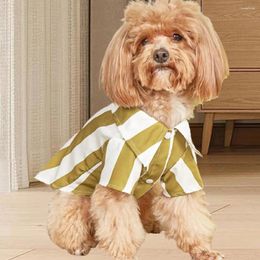 Vêtements pour chien Good Pet Shirt à deux pattes de printemps d'été Small Medium Puppy Puppy T-shirt Clothing
