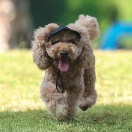 Appareils pour chiens Great Pet Cap Tailvas All-Baseball Headwear décor ACCESSORIES ATTRIMENTRES ACCESSIONNAIRES RÉGLABLES