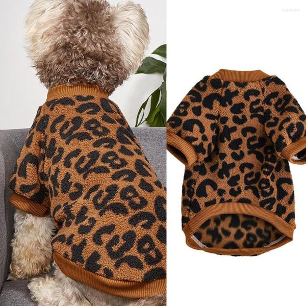 Vêtements pour chiens Grand pull pour animaux de compagnie Motif créatif Café Solor Outfit Medium 2-legged Winter