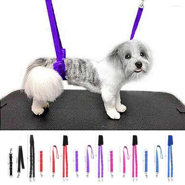 Vêtements pour chiens toilettage sangle de ventre fournitures pour animaux de compagnie collier de ceinture de traction réglable 3 pièces ensemble d'anneaux en D