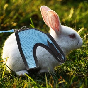 Vêtements pour chiens vêtements de cochon de porc hamster laisse marcher la corde de traction gilet filet tire pour animal de compagnie