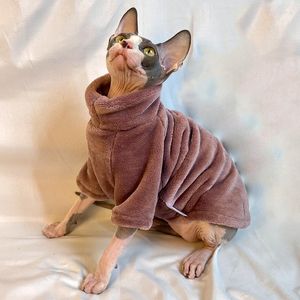 Le chat sans poils d'habillement de chien habille l'automne et l'hiver le sphinx épaissi chaud confortable
