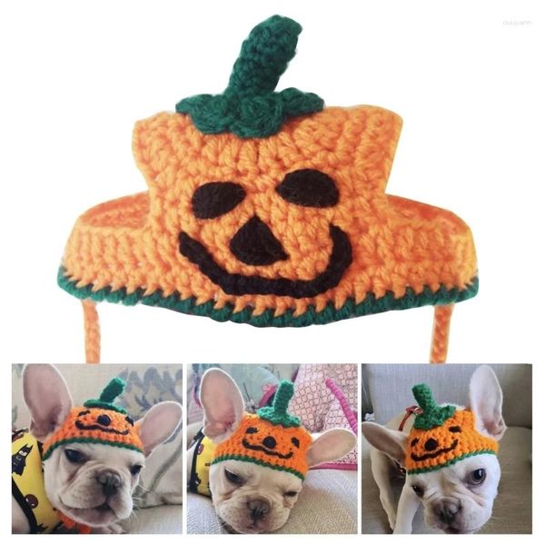 Appareils pour chiens Halloween Costumes Heads for Cat Pumpkin Hat Hat Pet Pet Holiday Clothes Accessoire