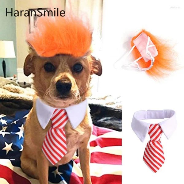 Vêtements de chien Halloween Costume Set Pet Cat Wig Bow Tie à nœuds drôle d'accessoires d'anniversaire drôles