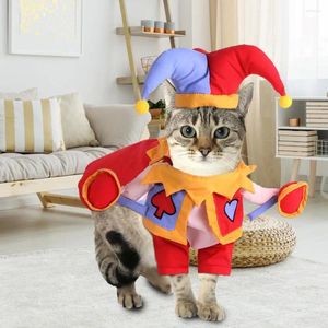 Hondenkleding Halloween -kostuum unieke goochelaar aankleden Outfit Colorblock Design Pet Pet